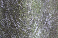 Tiley fibreglass roof work